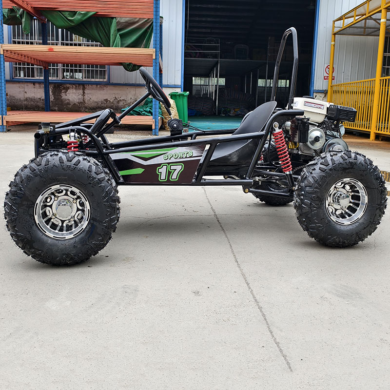 Factory Direct Professional Tr - огляд і ціна Kids Outdoor Karting
