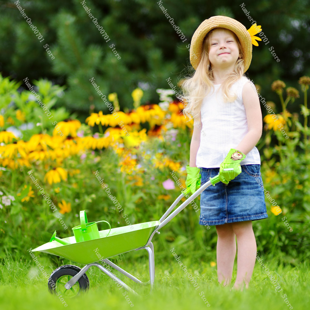 Kids Outdoor Wheelbarrow, Gree - огляд і ціна Kids Outdoor Activities